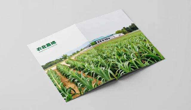 品牌策划的适用条件与检查要点分析
